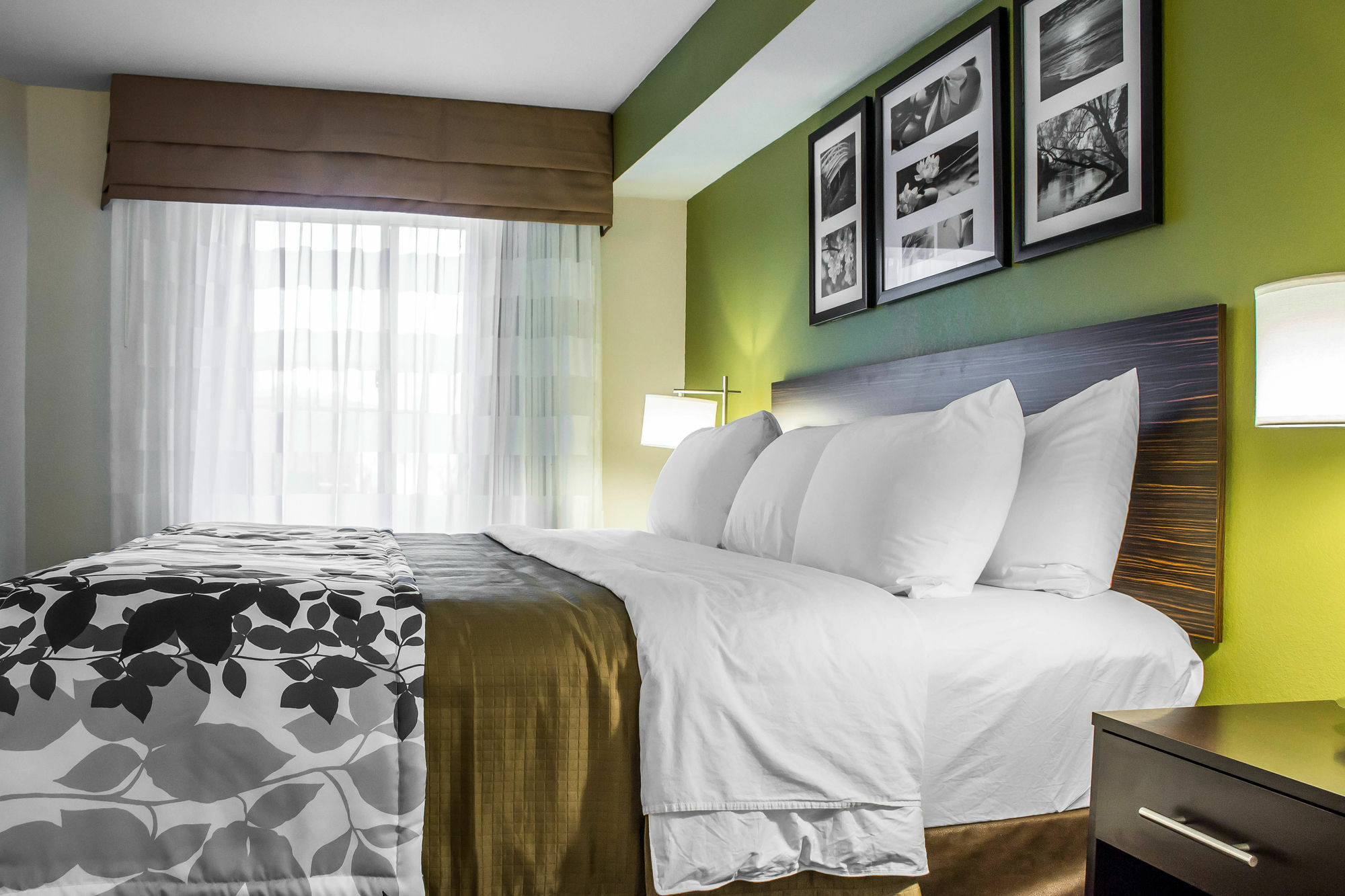 Surestay Plus By Best Western Mesa Superstition Springs Esterno foto