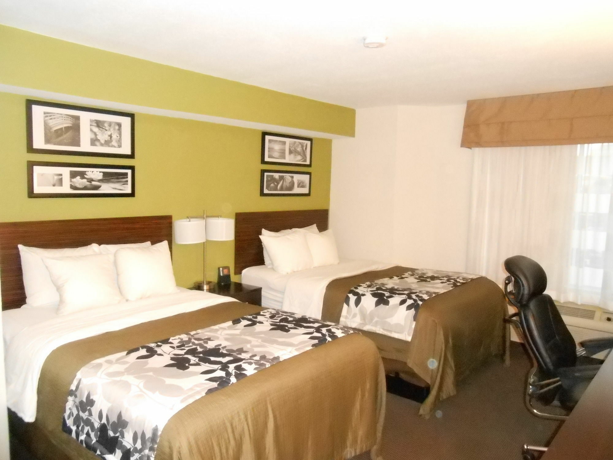 Surestay Plus By Best Western Mesa Superstition Springs Esterno foto