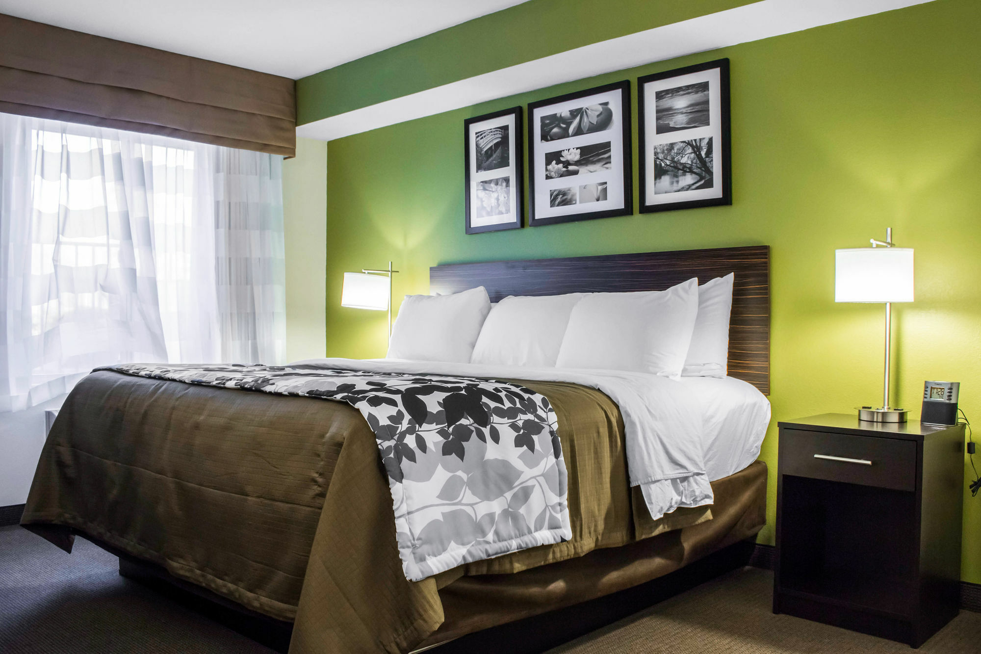 Surestay Plus By Best Western Mesa Superstition Springs Esterno foto