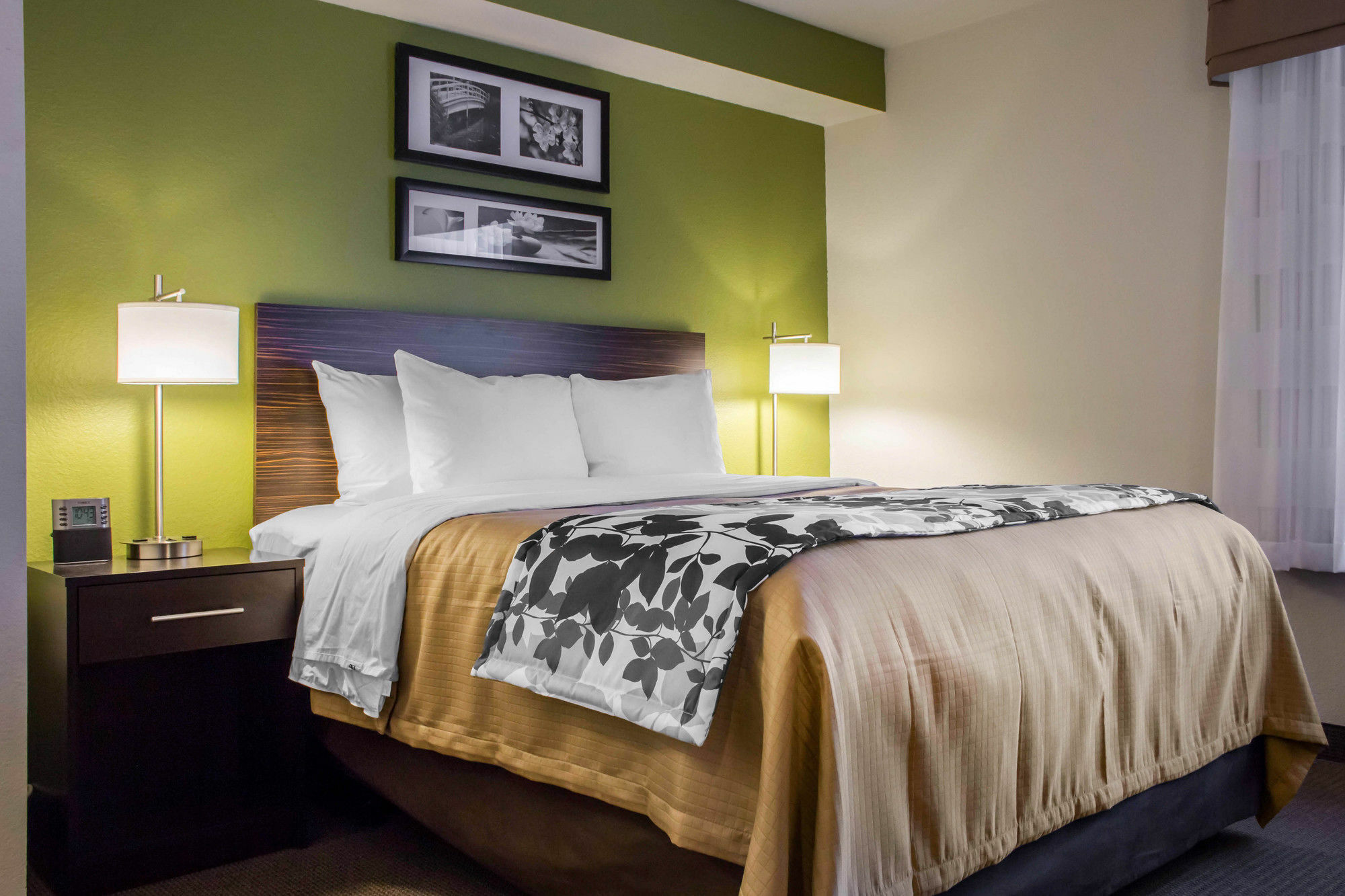 Surestay Plus By Best Western Mesa Superstition Springs Esterno foto